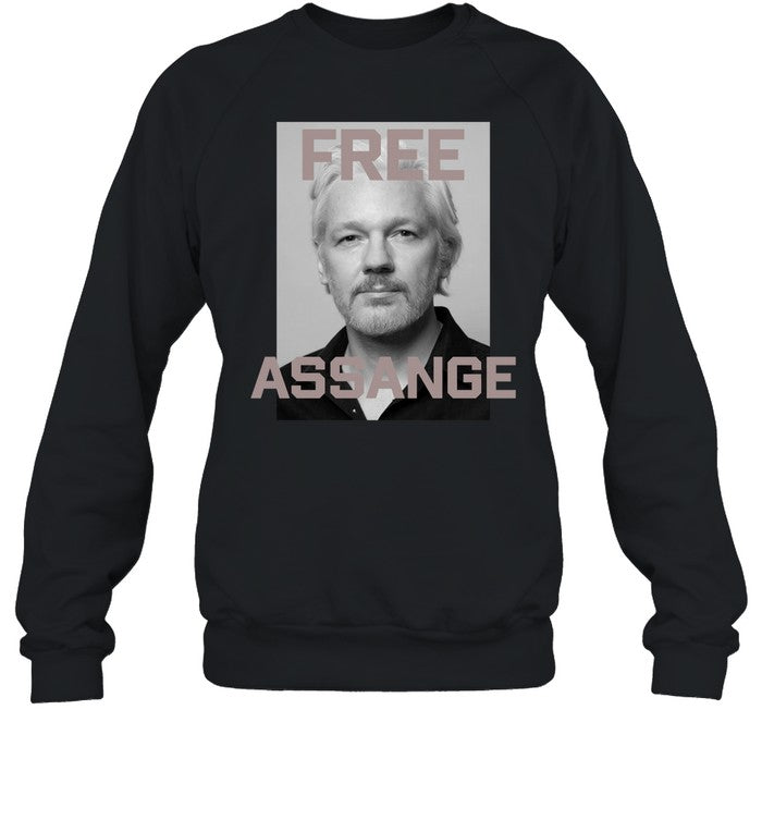 Kari Lake Wearing Free Assange Hoodie