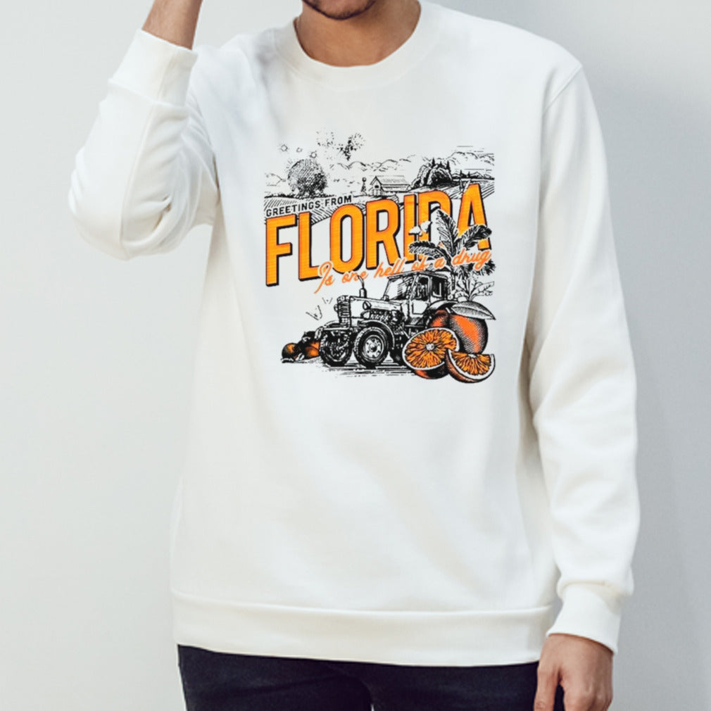 Greetings from Florida is one hell of a drug shirts