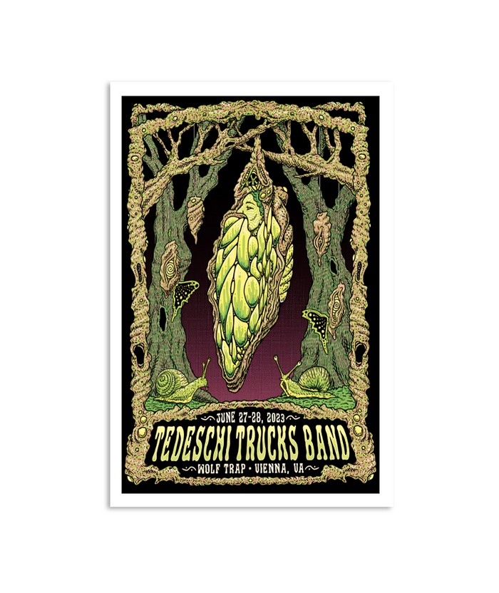 Poster Tedeschi Trucks Band Wolf Trap Vienna Virginia June 27 & 28, 2023