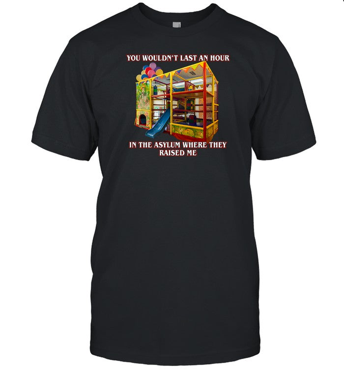 Shithead Steve You Wouldn't Last An Hour In The Asylum Where They Raised Me Tee
