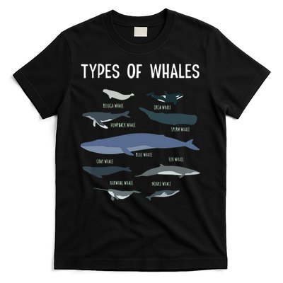 Whale Lover , Whale Lover Gift, Types Of Whales T-Shirt