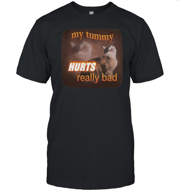 Snazzyseagull My Tummy Hurts Really Bad Cat Shirt