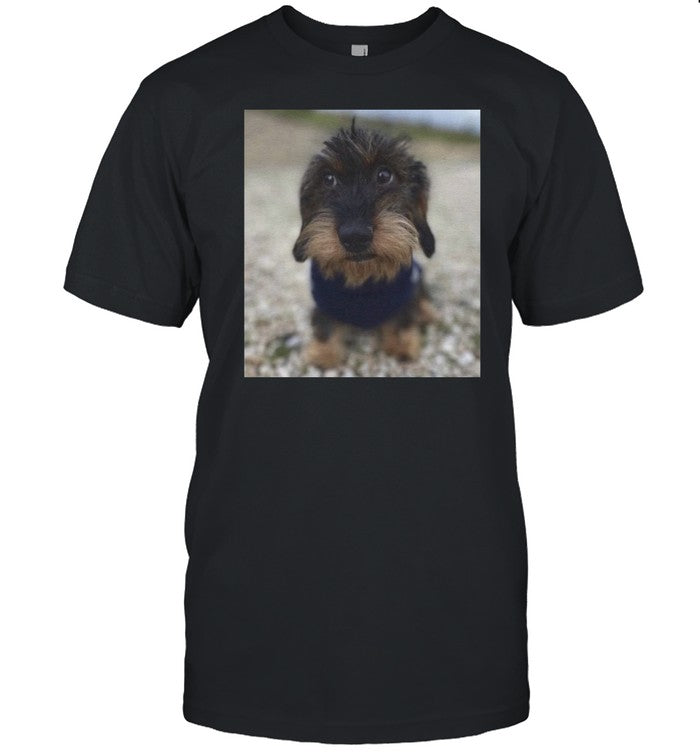Hello Foenem Dog Shirt