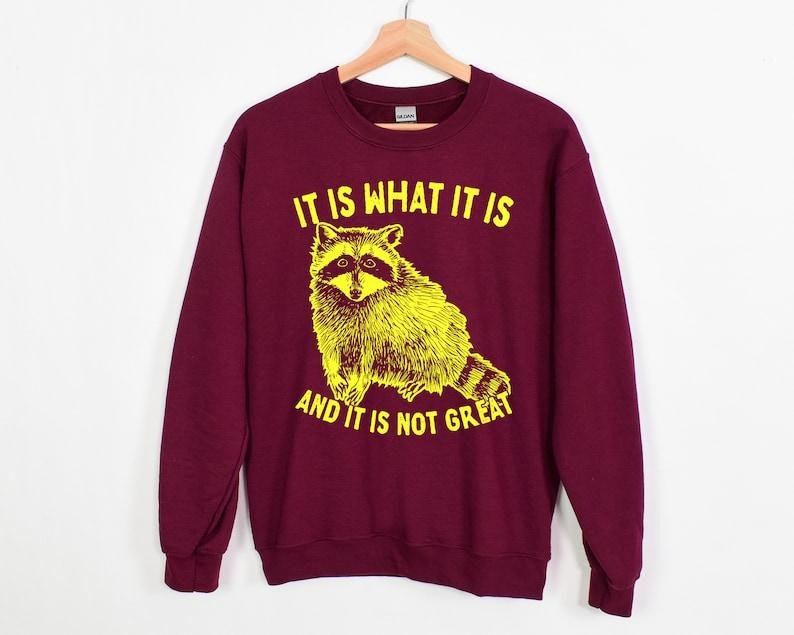It Is What It Is And It Is Not Great Sweatshirt, Raccoon Sweatshirt, Meme| Funny Meme Hoodie and Sweater; T-shirt Cotton Menswear Cotton Menswear