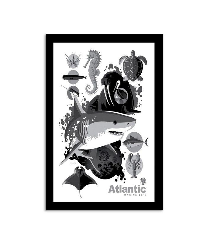 Limited Atlantic 2023 Marine Life Poster