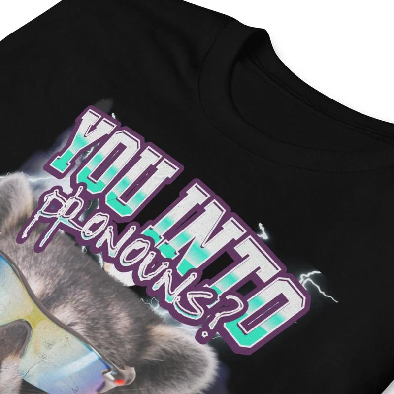 Stylish Pronouns Shirt, Funny Raccoon Tee, Inappropriate Meme T-Shirt, Ironic Humor Shirt, Trending Gift for Best Friend, Gift for Him & Her funny  sw