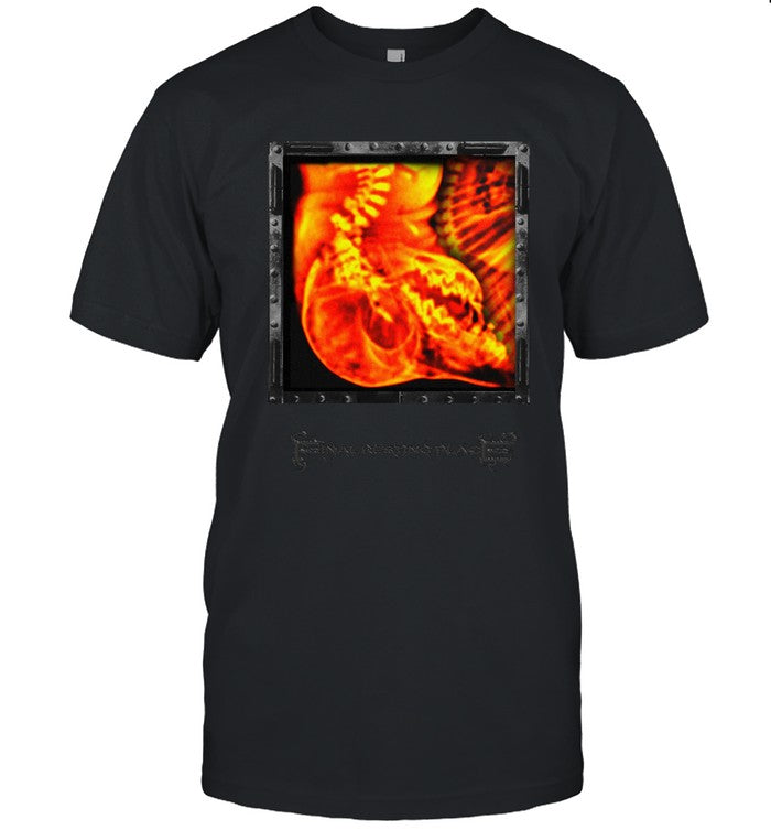 Final Resting Place Ridden Of Impurities T-Shirt