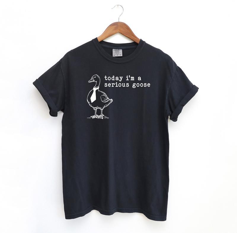 Serious Goose Funny Shirt, Meme Comfort Shirt Menswear T-Shirt, Casual material shirt, basic shirt,unisex bur shirt, Hip Hop Top, Summer Women's Top, Couple Shirt, Birthday Gift, Y2K Shirt, Designer Shirt for Men, B Shirt for Men Crewneck Menswear